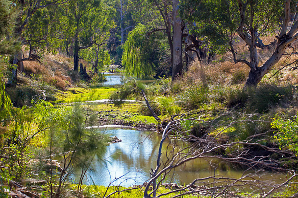 outback at dubbo new south wales australia